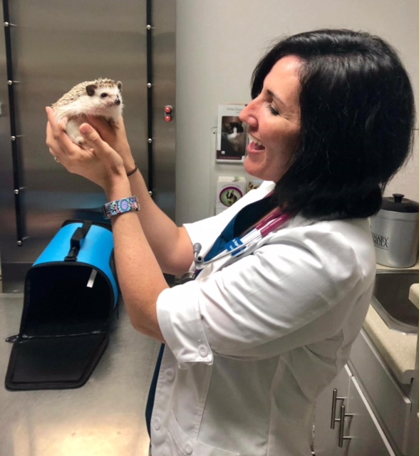 South Arkansas Veterinary Hospital Our Staff