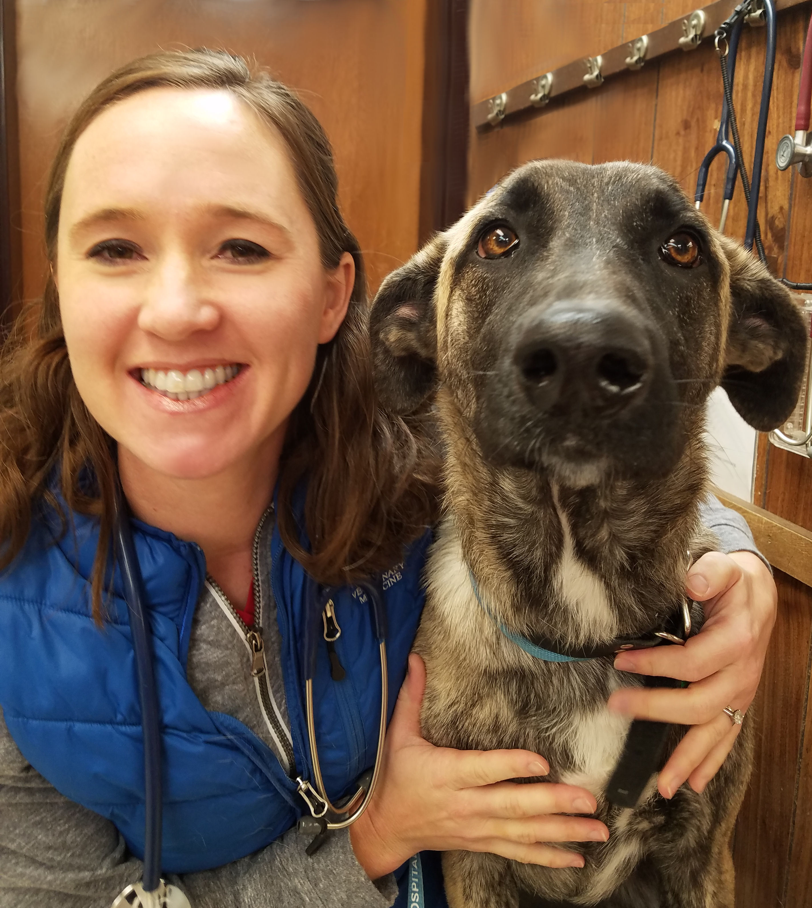 Plattsmouth Animal Hospital, P.C., Our Veterinarians and Staff