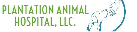 Animal Hospital Hilton Head Island Animal Hospital Hilton Head Island