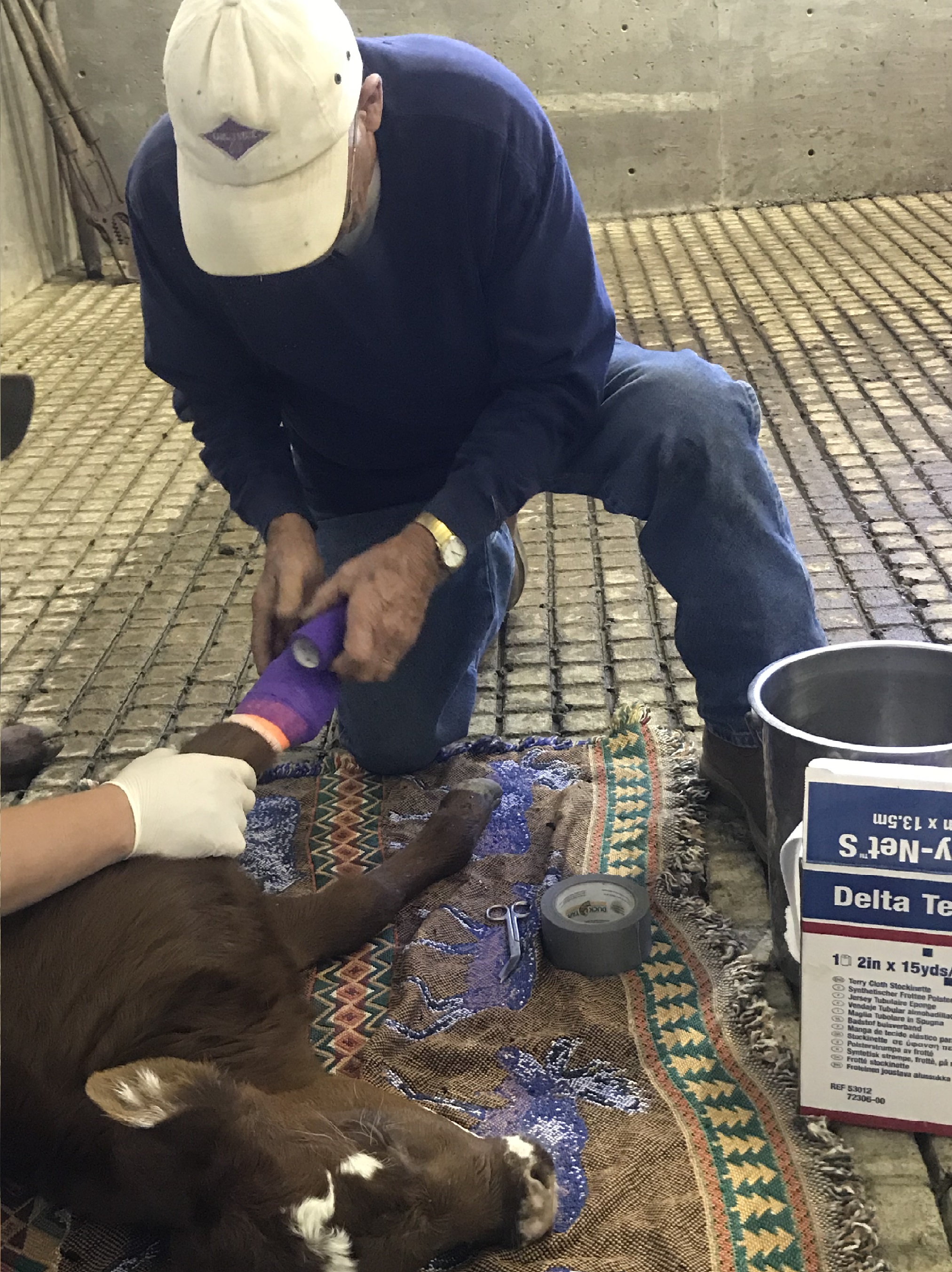 Cottonwood Animal Hospital Veterinarians & Staff