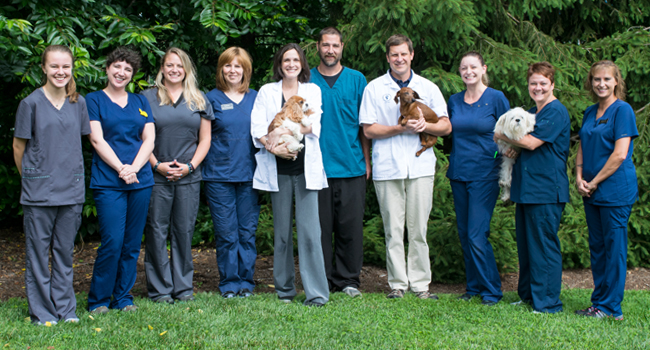 Our Team Photo Our Team Photo