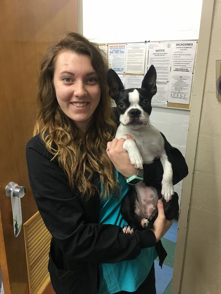 Dalton Animal Care Veterinarians & Staff