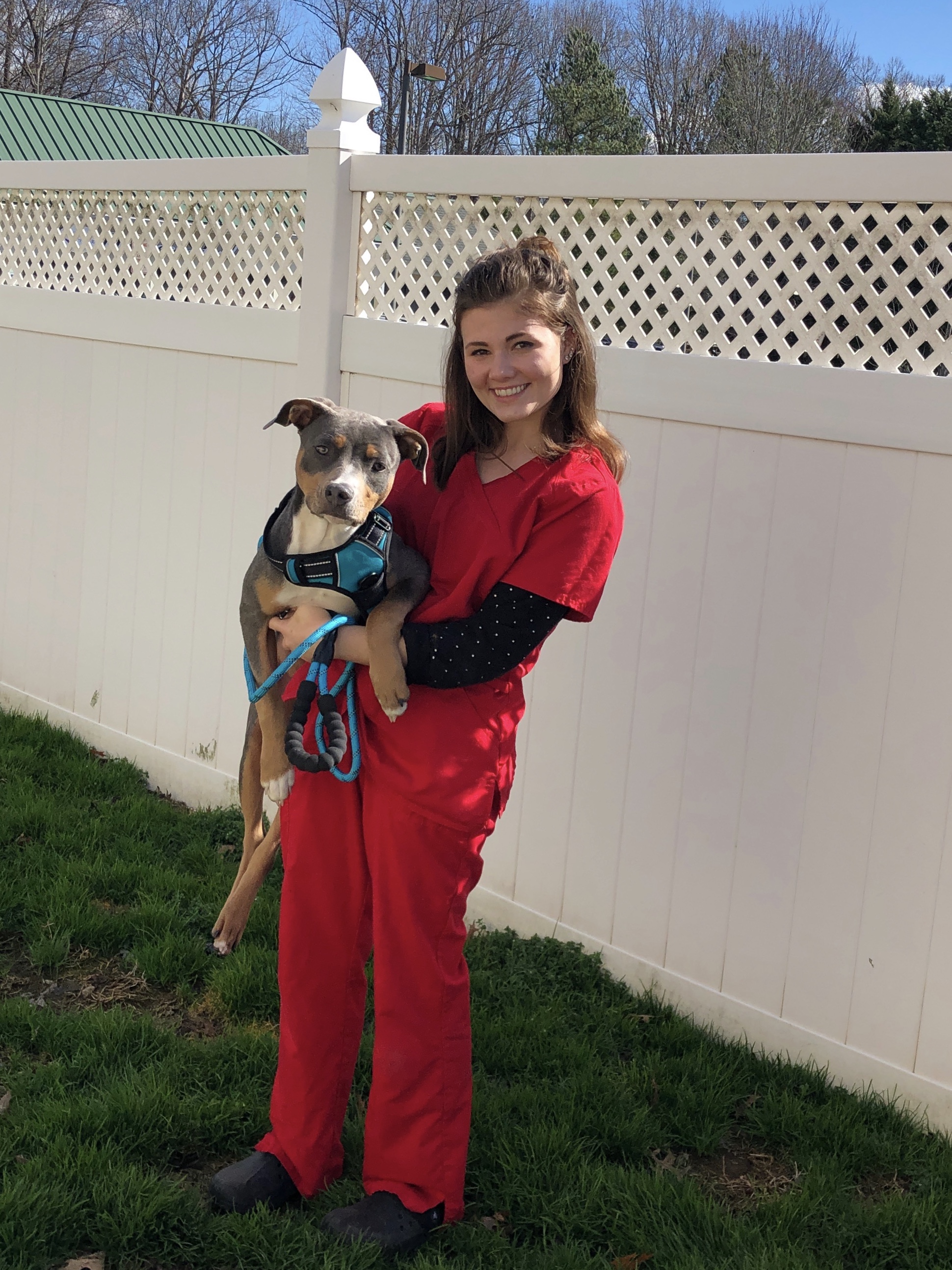 doctor bill's pet infirmary