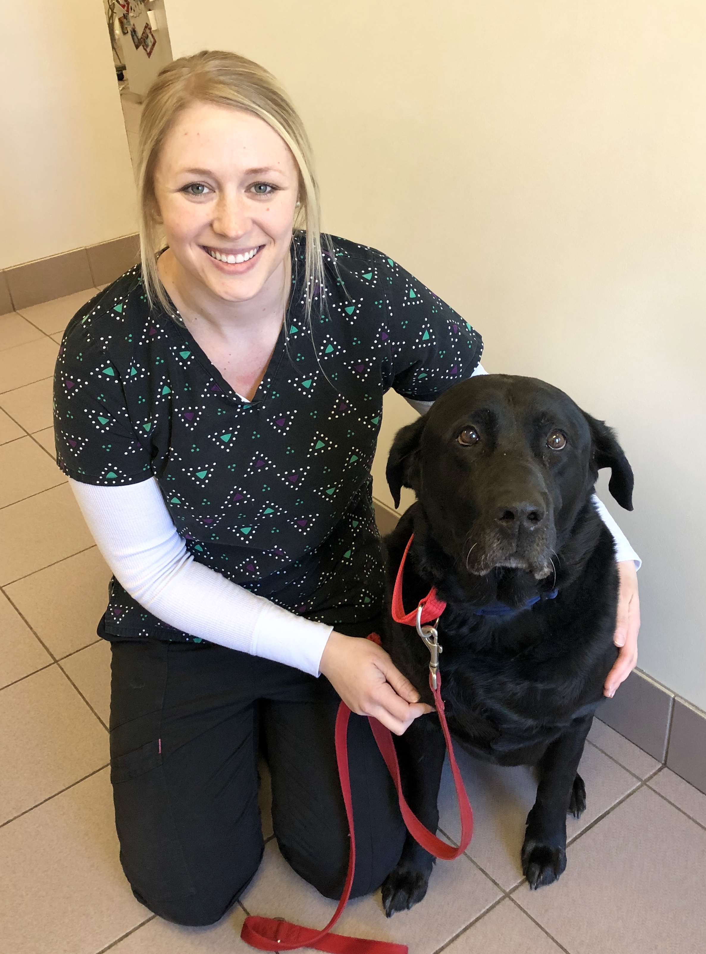 doctor bill's pet infirmary