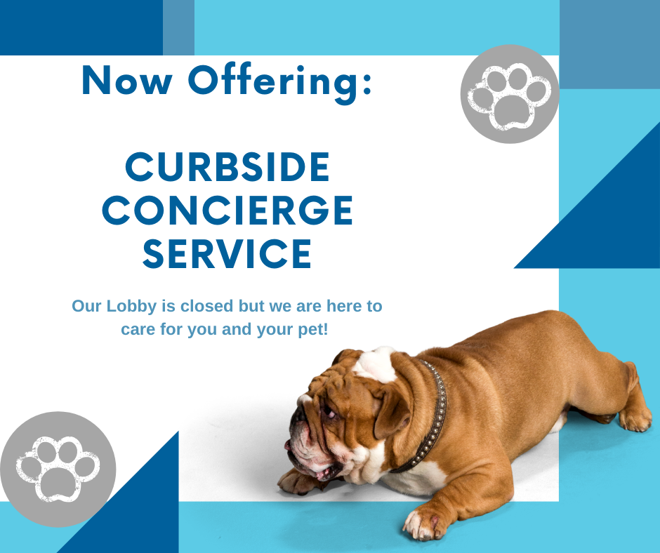 Alexandria Animal Clinic Veterinarian