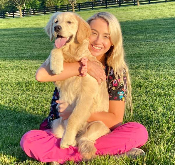 pet care animal hospital blue ash