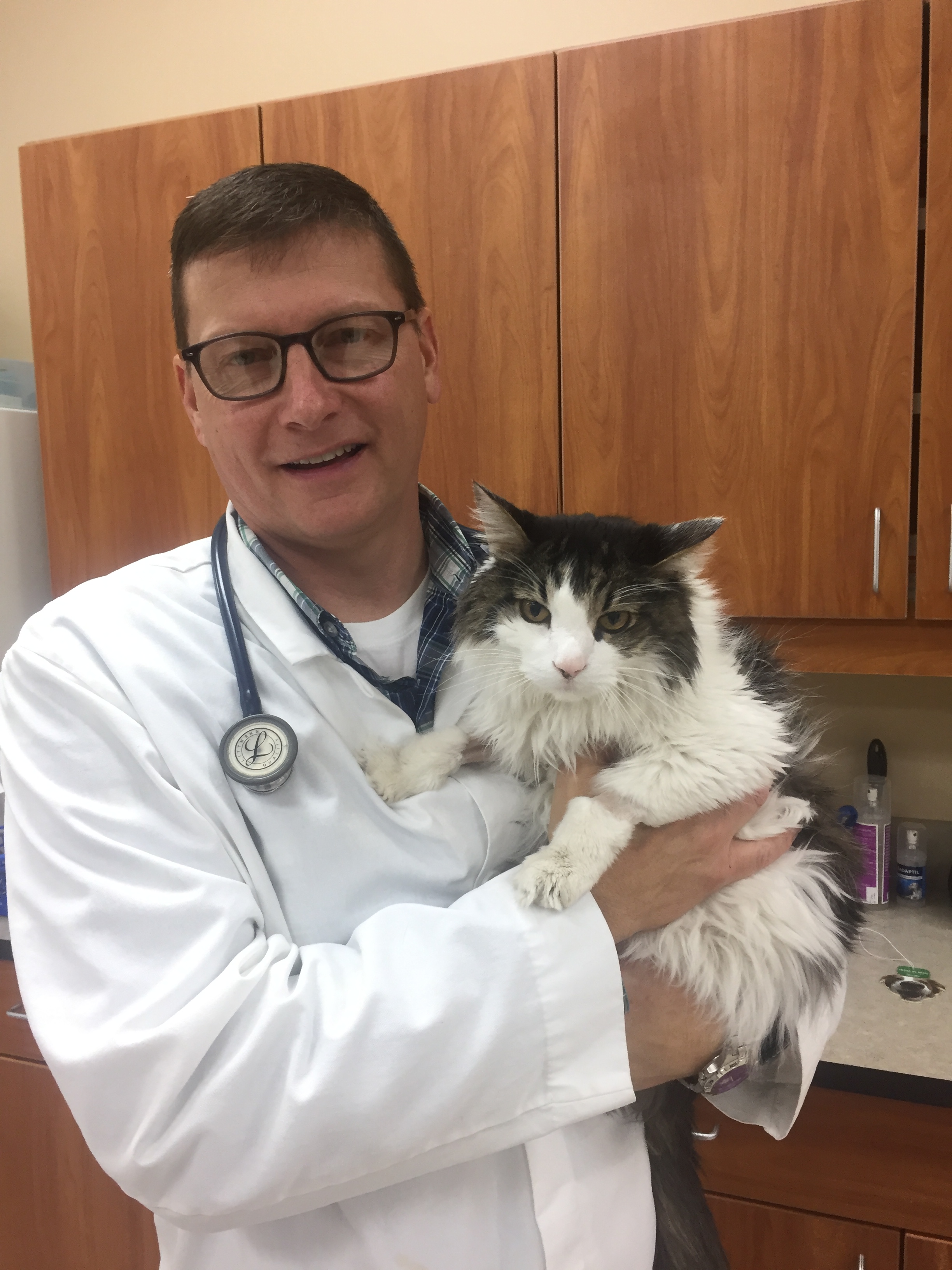 Cottonwood Animal Hospital Veterinarians & Staff