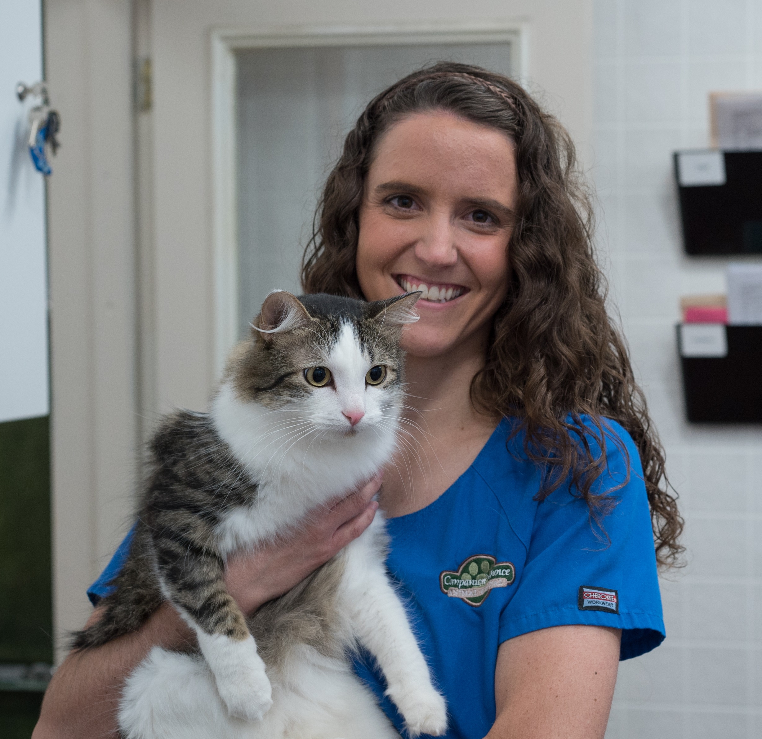 Companion's Choice Animal Hospital Veterinarian
