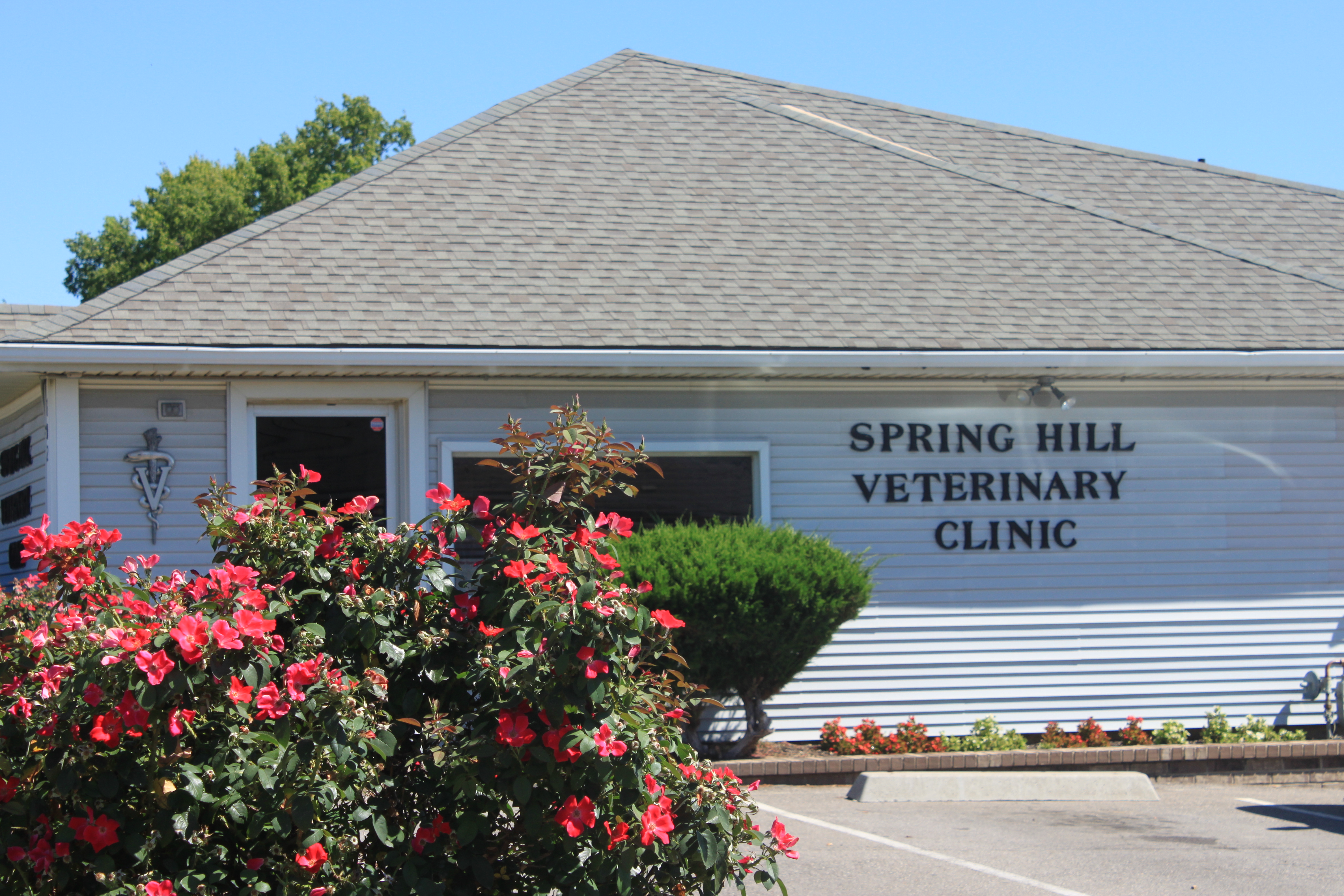 petco cat litter mat