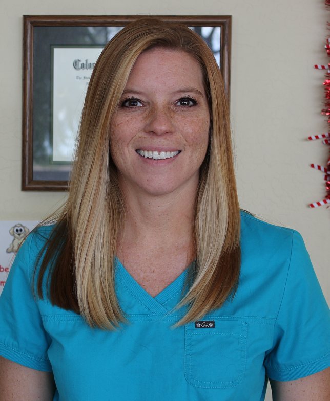 Caring Veterinarians in the Glendale, AZ, Area