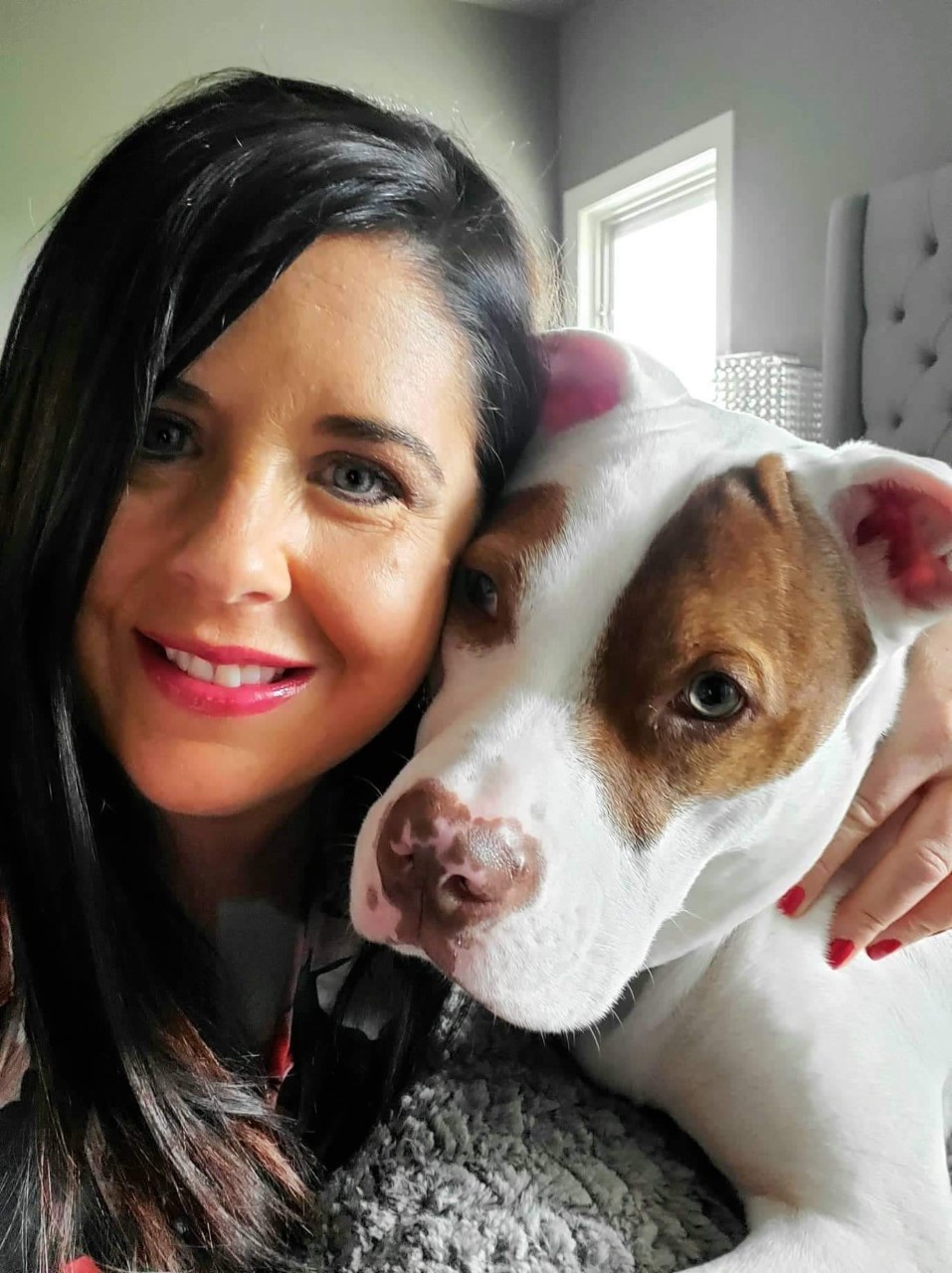 Val Verde Animal Hospital