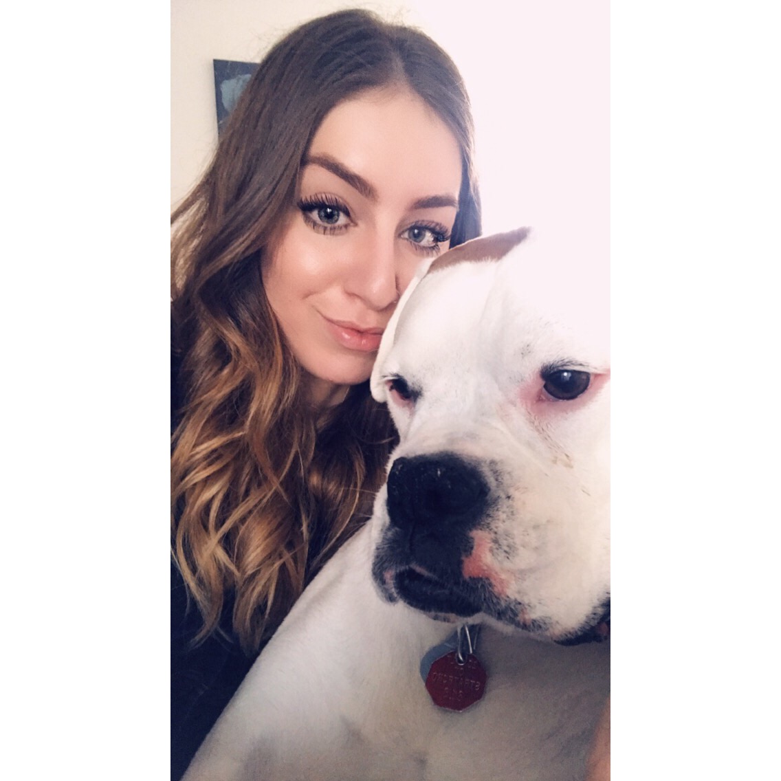 Ansonia Westfield Veterinary Hospital Our Staff