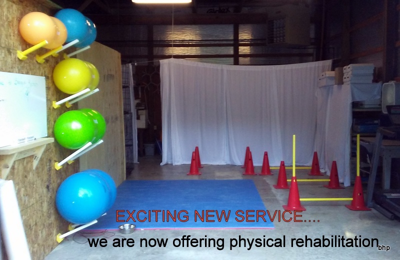 Bangor Veterinary Clinic, 59783 M 43 Bangor, MI 49013