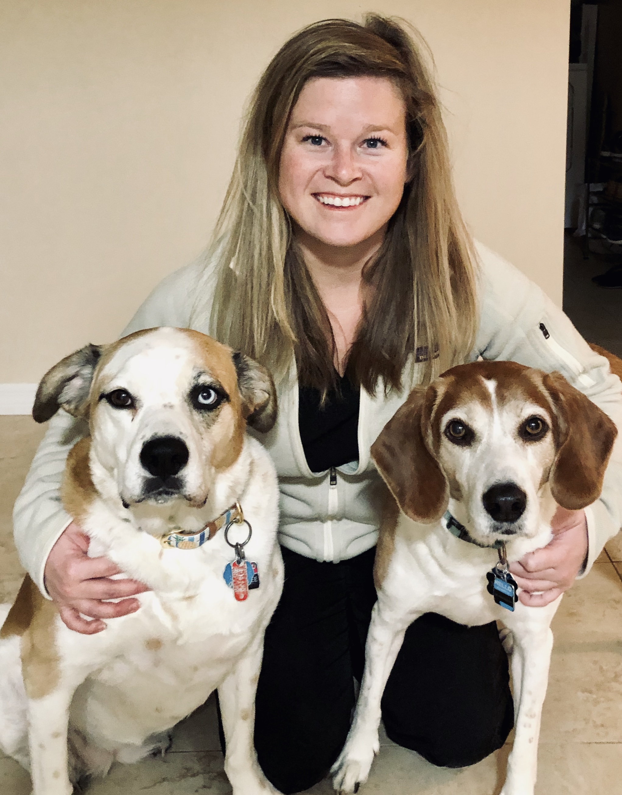 Harborside Animal Clinic Our Staff