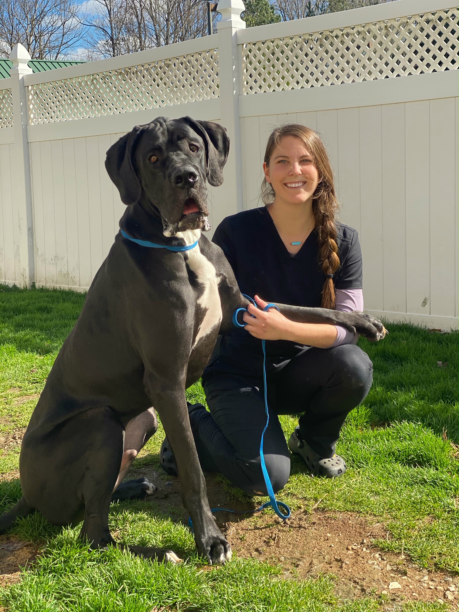 doctor bill's pet infirmary