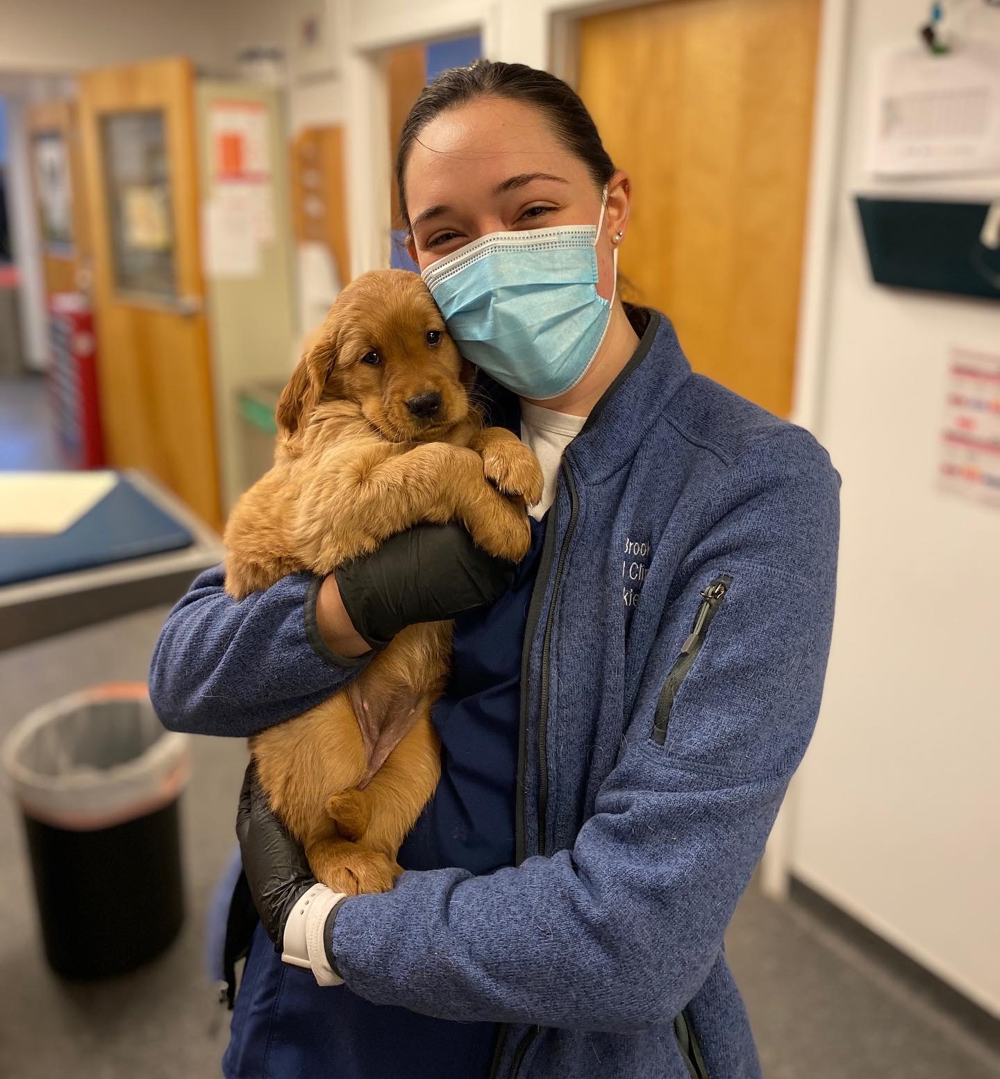 Mill Brook Animal Clinic Our Staff