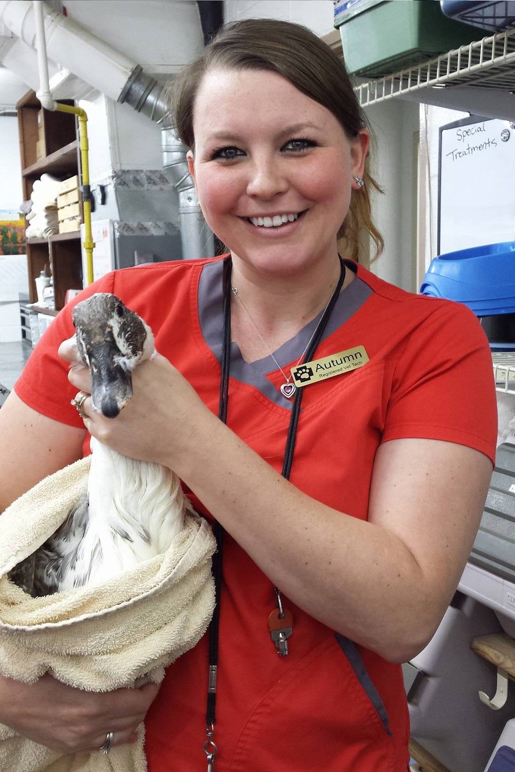 Dalton Animal Care Veterinarians & Staff