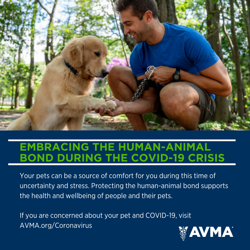 pet health care center