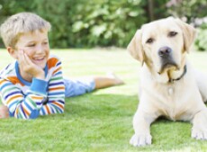 Boy laying in grass with dog