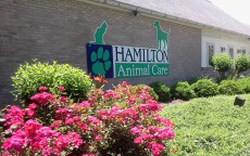 The outside of our veterinary hospital in Wescosville, PA