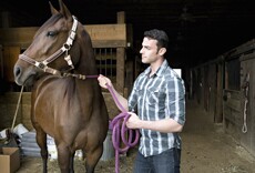 Man standing with brown horse