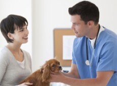 Vet check-up with client and her dog