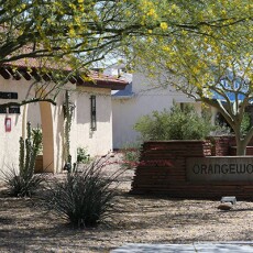 The outside of our Phoenix Animal Hospital