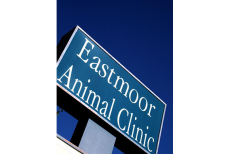 The sign outside of our veterinary hospital in Moore OK