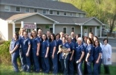 Staff
