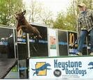 Dog jumping Dog jumping