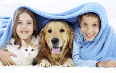 Young boy and girl with dog and cat