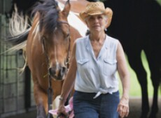 Woman walking a brown and white horse