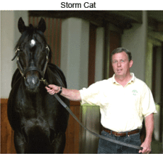 Dr. Yocum with horse Storm Cat