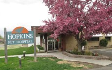 The outside of our vet hospital